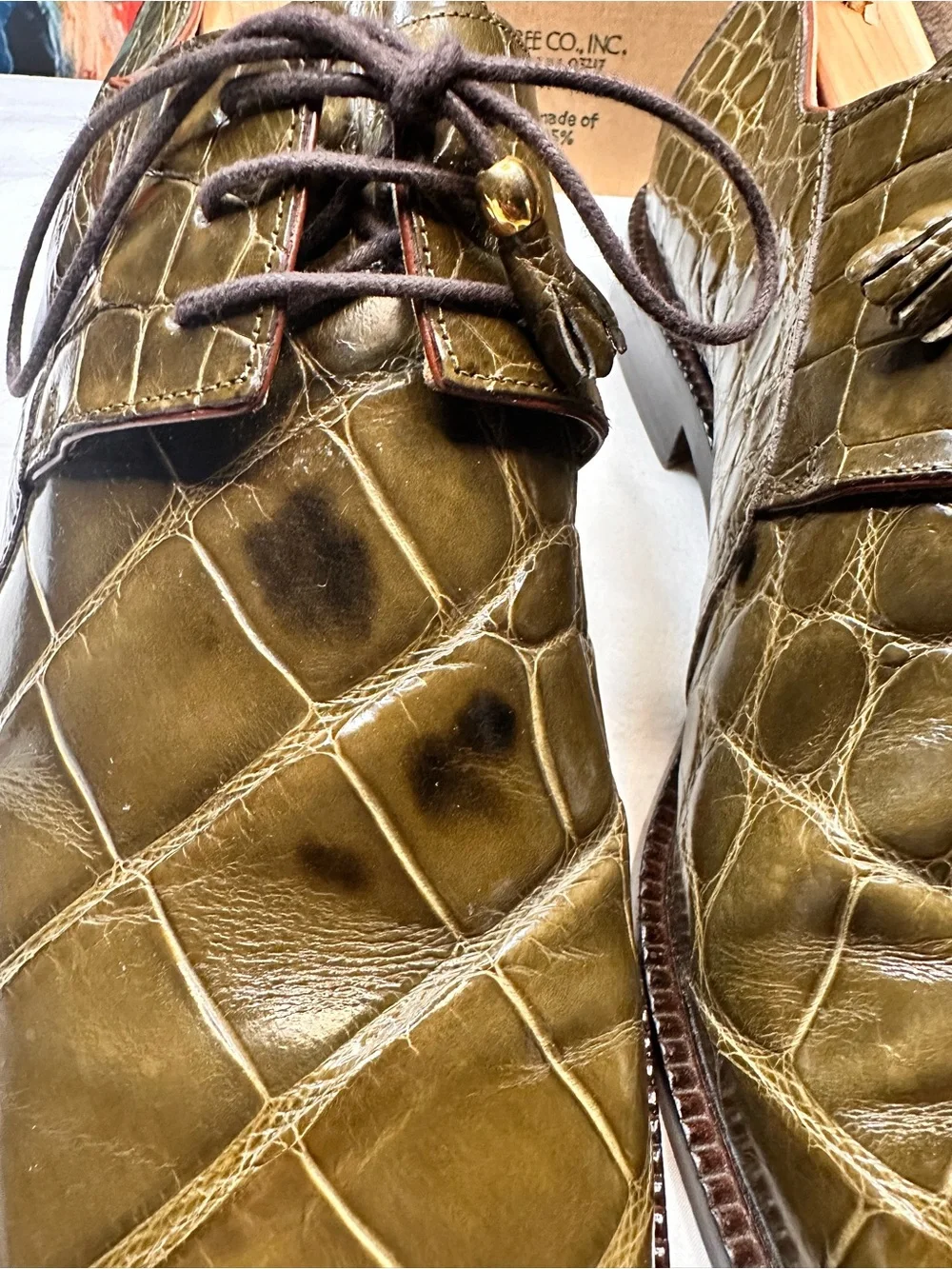 No.65 Michele Loisi Genuine Alligator Derby Dress Shoes in Olive Green